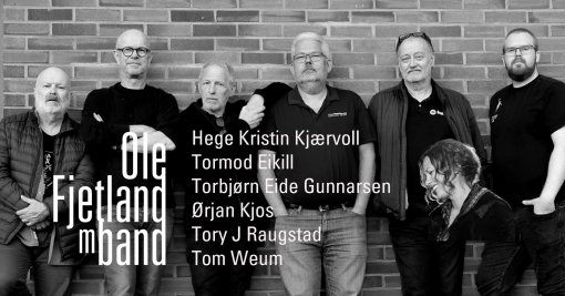 Ole Fjetland Band